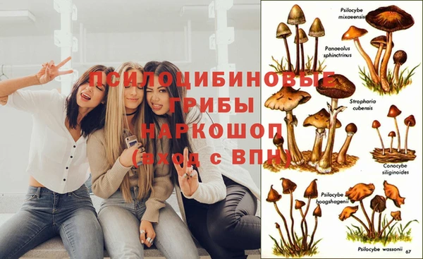 прущие крисы Абдулино