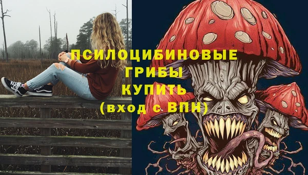 прущие крисы Абдулино