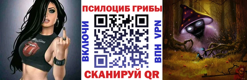 Галлюциногенные грибы Psilocybe  Ялуторовск 